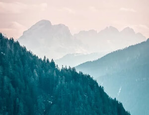 恒大球员射门效率极高,连续进球——锋线火力引爆赛场