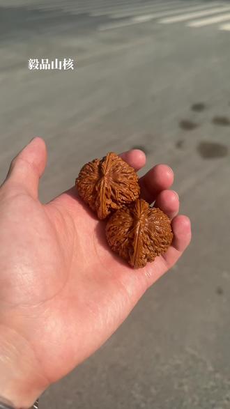 爱好盘串盘核桃，希望尽快融入球队(一丝一缕当思来之不易一粥一饭)